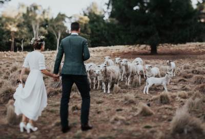 بريطانية تقيم حفل زفافها فى مزرعة