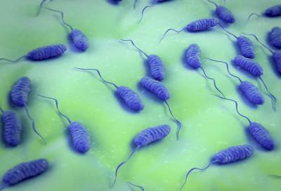 الصحة الجزائرية تكشف المصدر الرئيسى لوباء الكوليرا