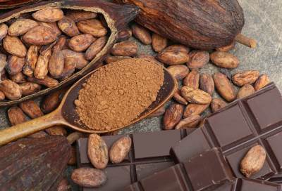 اكتشاف أول استخدام للكاكاو فى العالم