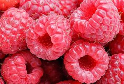 مادة سكرية في التوت البري "قد تساعد في مكافحة الخلايا السرطانية"