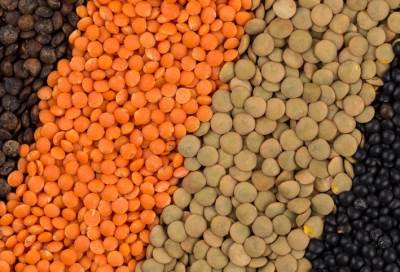 حقيقة شائعة العدس المسرطن فى الأسواق