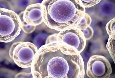 اختبار لقاح تجريبي يتعرف علي الأورام السرطانية ويهاجمها