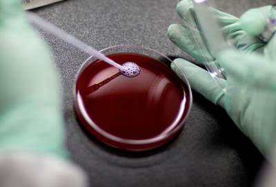 كيف تنمو الأورام داخل الجسم؟