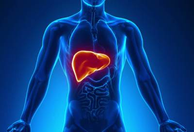 المصابون بالالتهاب الكبدى C قادرون على التبرع بكليتهم دون إصابة الأصحاء