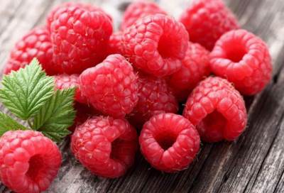 تناول التوت البري بكثرة يساعد فى الحفاظ على القلب