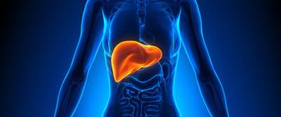 احرص على تناول هذه الاشياء للحفاظ على صحة كبدك!