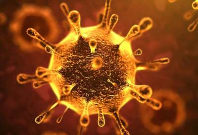 من هي الفئة الأكثر عرضه للإصابة بفيروس كورونا؟