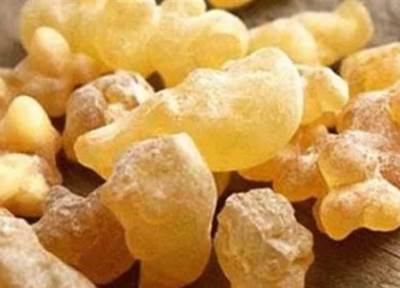  فوائد لبان الدكر المذهلة .. تعرفي عليها