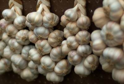 تعرفي على طرق تخزين الثوم المثالية