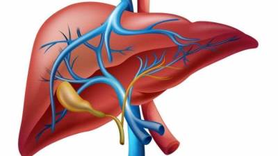 تناولي هذه الأطعمة لإزالة السموم من الكبد