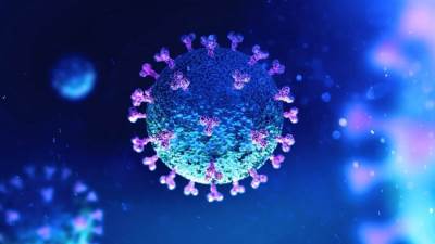 ما هو الجسم المضاد الذى يمكنه وقف عدوى كورونا 100% فى 4 أيام؟