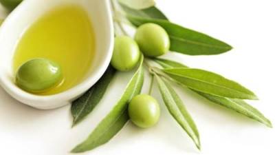 فوائد مذهلة لـ "أوراق الزيتون" على الجسم .. تعرفي عليها