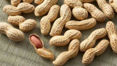 الفول السوداني يساعدك على إنقاص الوزن؟