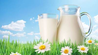 فوائد الحليب على صحة الجسم..!
