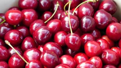 ماذا يحدث لجسمك عند تناول الكرز يوميا..!