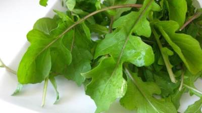 ماذا يحدث للجسم عند تناول الجرجير يوميا..!