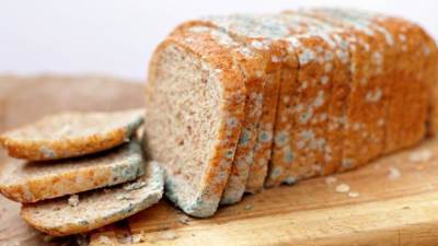 كيف تحمي نفسك من التسمم بالعفن؟