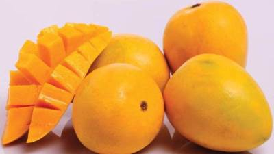 فوائد زيت بذور المانجو .. تعرفي عليها