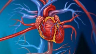 طرق طبيعية لعلاج انسداد شرايين القلب .. تعرفي عليها