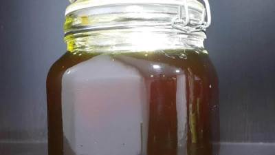 عسل السدر وفوائده