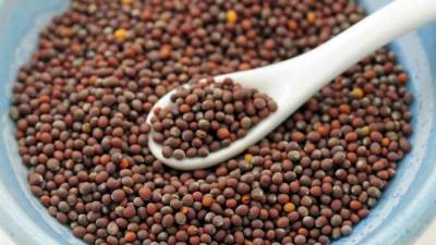  نوع مذهل من الأعشاب يخلصك من النقرس .. تعرفي عليه