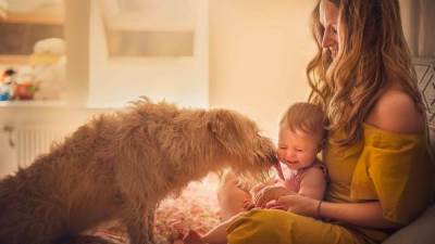 هل تعلمي أن امتلاك حيوان أليف يقلل الشعور بالوحدة؟