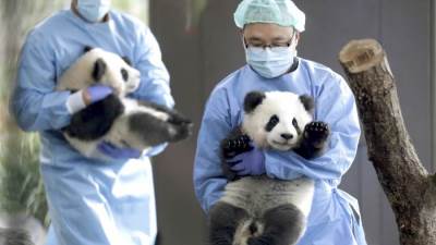 أمراض تنتقل من الحيوانات للإنسان والعكس