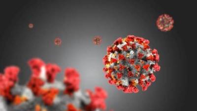 هل سيصبح فيروس COVID-19 مستوطنًا؟