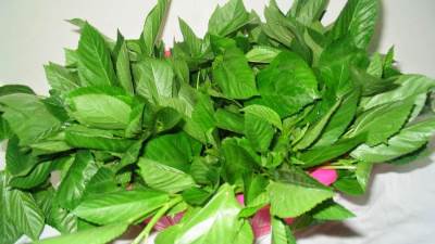 طريقة تخزين الملوخية بالفريزر