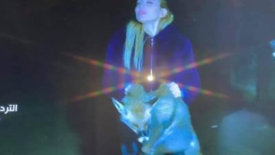 بالفيديو .. قناة النهار تعتذر عن فقرة صيد الثعالب في برنامج "صبايا الخير"