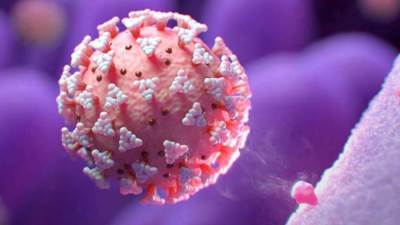 تعرفي على اخر فنان مصري أصيب بفيروس كورونا