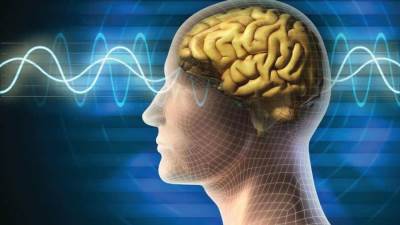 أطعمة تحفّز عمل الدماغ .. تناوليها!