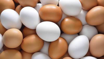 ذا صن البريطانية: "البيض" فيه سم قاتل ويؤدي إلى الوفاة