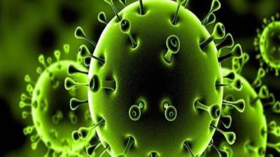 3 فئات تحصل على لقاح كورونا أولاً في مصر