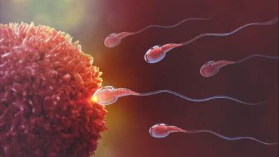 متى يجب أن يذهب الأزواج للتخصيب في المختبر؟