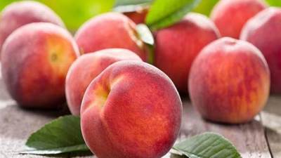 لماذا لا يُنصح بغسل الخوخ فور شرائه؟