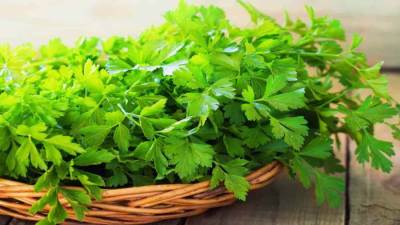 فوائد صحية مذهلة للبقدونس .. تعرفي عليها