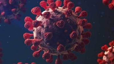 هل تعلمي أن الناجون من كورونا قد يصابون مجددا بسلالات ألفا وبيتا؟