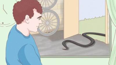 انتبهي هذه الأشياء تجلب الثعابين لمنزلك