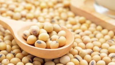 ماذا يحدث للجسم عند تناول فول الصويا؟