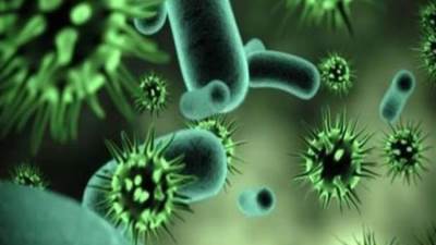 أنتبه .. الصحة العالمية تحذر من فيروس جديد أخطر من كورونا