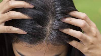 لأول مرة.. الكشف عن أسباب الشيب وعلاجاته المستقبلية