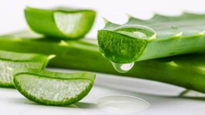 5 استعمالات تجميلية للألوفيرا سوف تفاجئكم