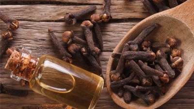 تعرفي على فوائد ماء القرنفل للشعر