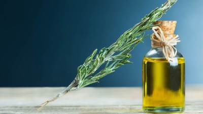 زيت إكليل الجبل طفرة في عالم العناية بالشعر.. لا تهملي فوائده