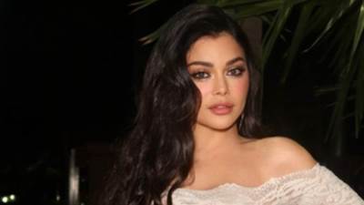 التحقيق مع هيفاء وهبي في مقر نقابة الموسيقيين الأحد المقبل