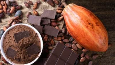 8 أطعمة غنية بالدهون الصحية