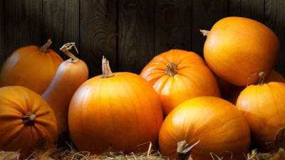 ماذا نأكل مع قرع العسل لزيادة فعاليته في فقدان الوزن؟